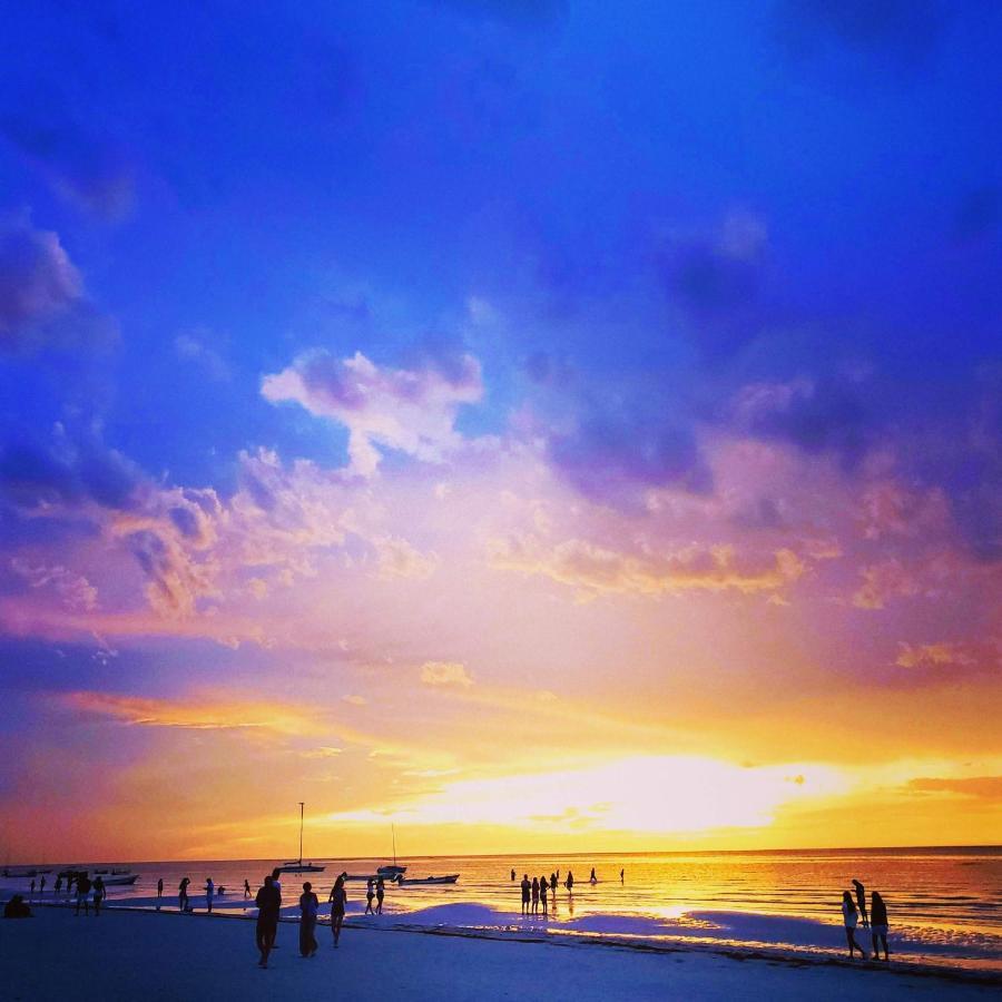 Ecoco Holbox - Eco-Chic - Cabanas De Madera - Holbox Retreat (Adults Only) Guest House Eksteriør bilde